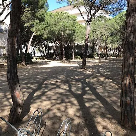 Cibeles 1-5 شقة *